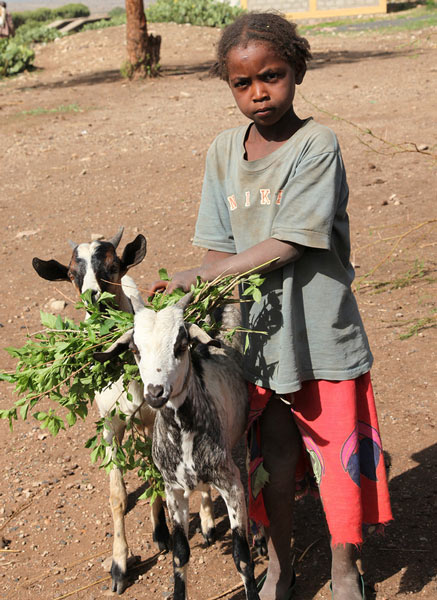Girl and goat