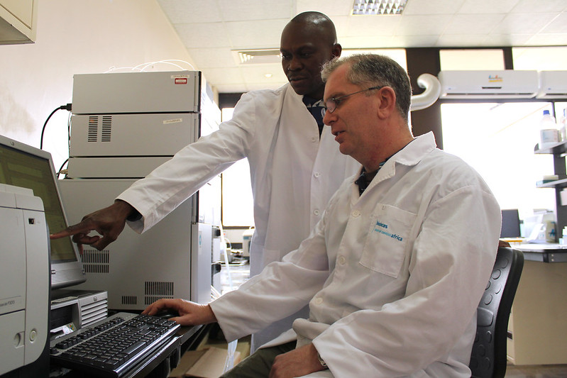 Researchers conducting laboratory work together