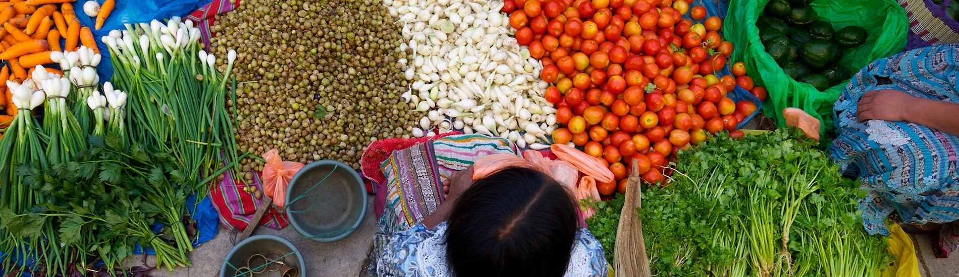 Agri-products mosaic