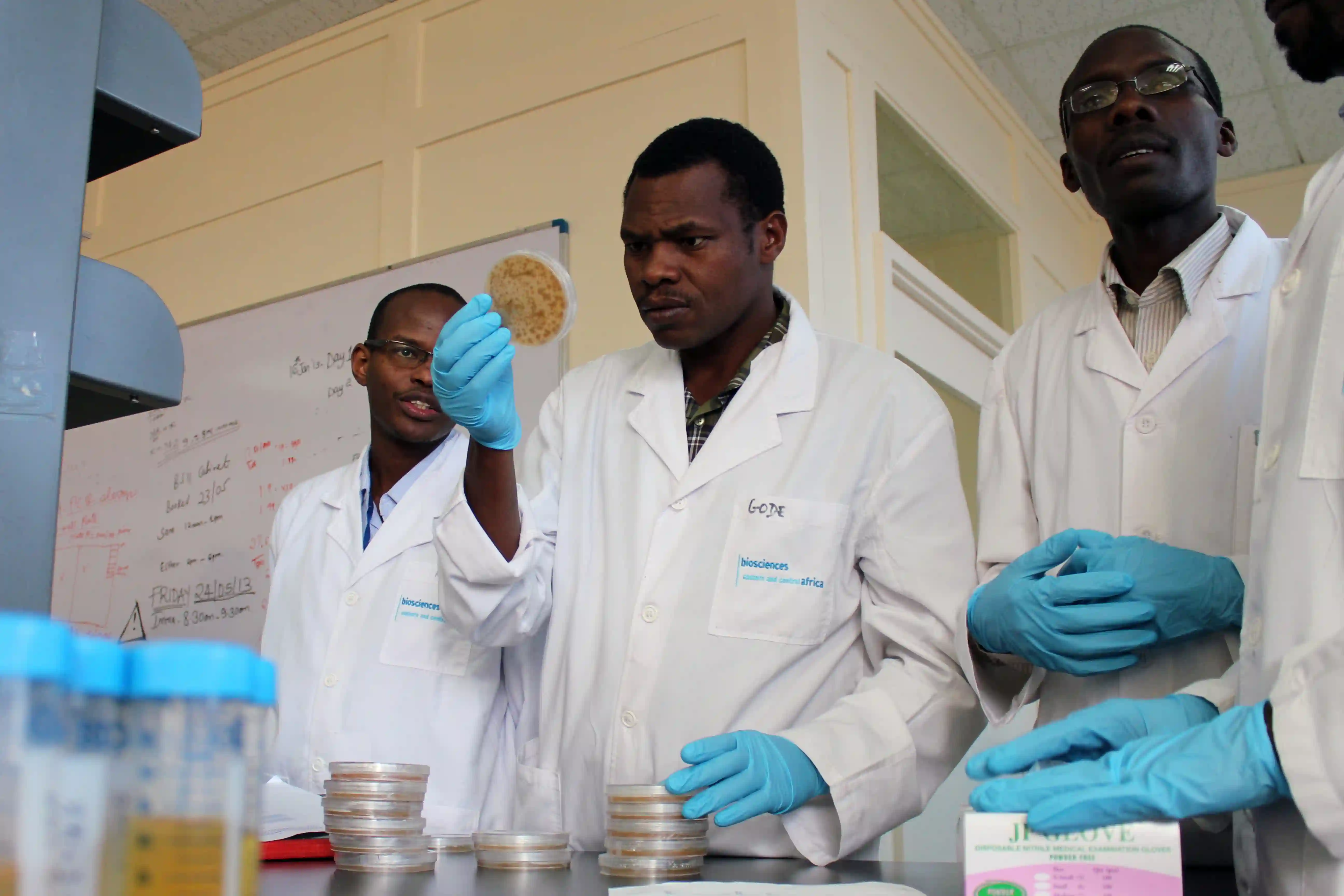 Mycotoxin diagnostics and nutritional analysis platform